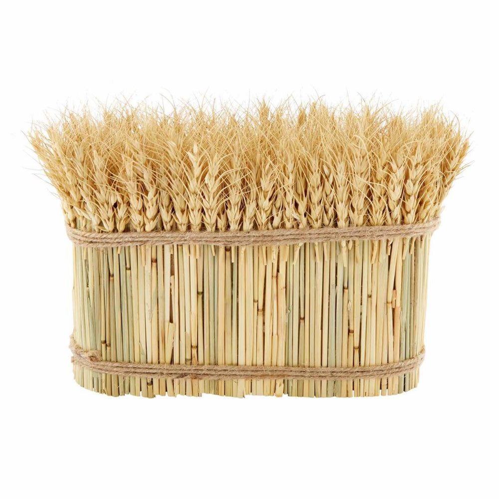 Mud Pie Decorative Preserved Wheat Stalk Bundle Bunch for Home Decoration