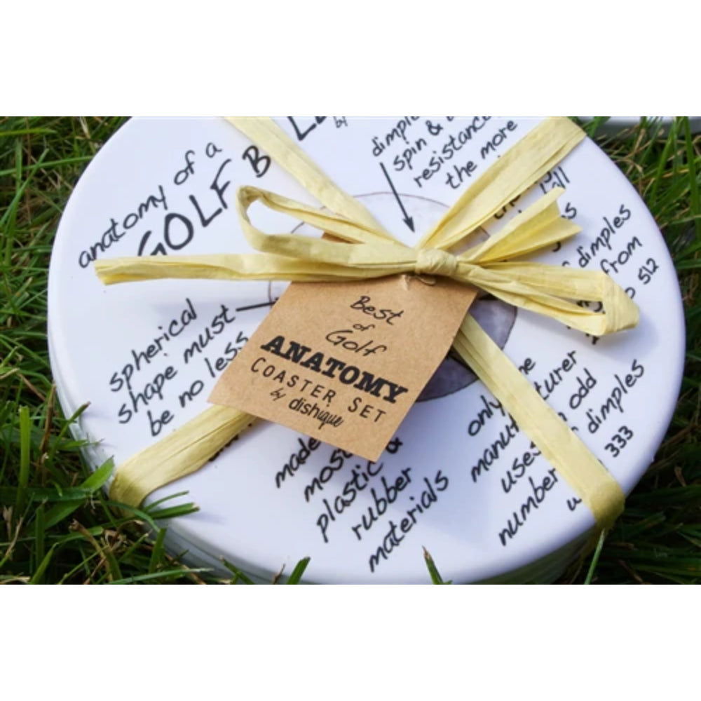 Dishique 4-Piece Golf Anatomy Sandstone Coasters Set