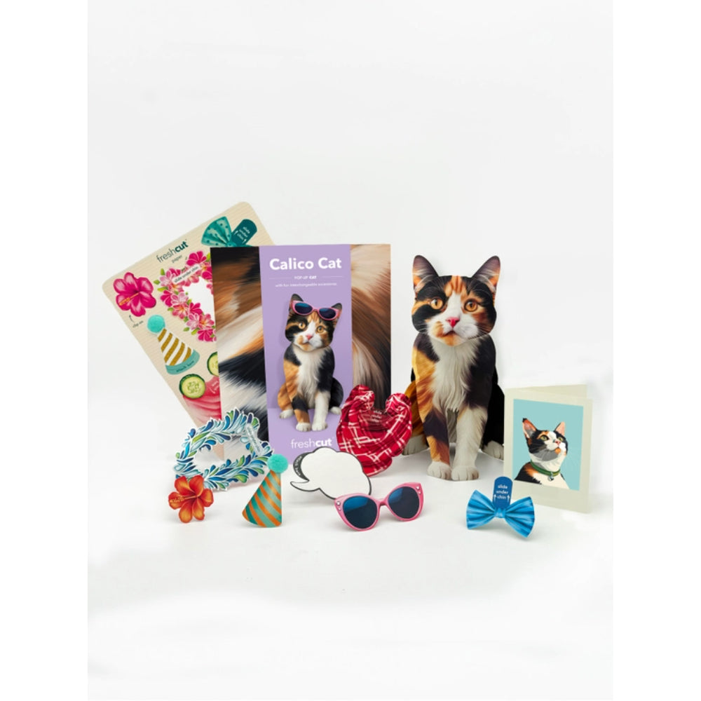 FreshCut Paper LLC Calico Cat Pop - Up Greeting Card with Interactive Accessories and Notecard
