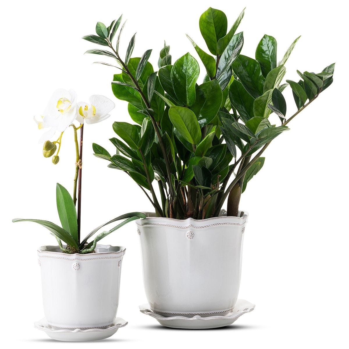 Juliska Berry & Thread White - Washed 5.25 - Inch Ceramic Plant Planter with Matching Saucer for Indoor Use