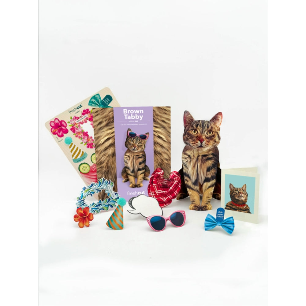 FreshCut Paper LLC Adorable Brown Tabby Pop - Up Greeting Card