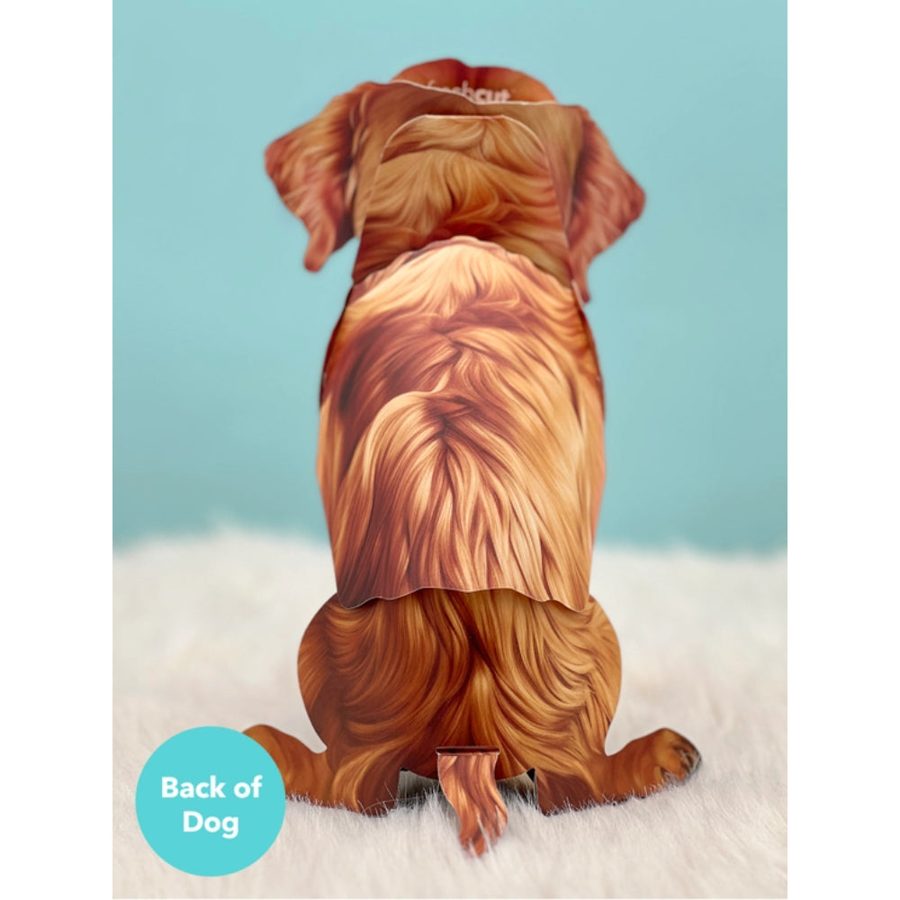 FreshCut Paper LLC's Charming Golden Retriever Pop - Up Greeting Card