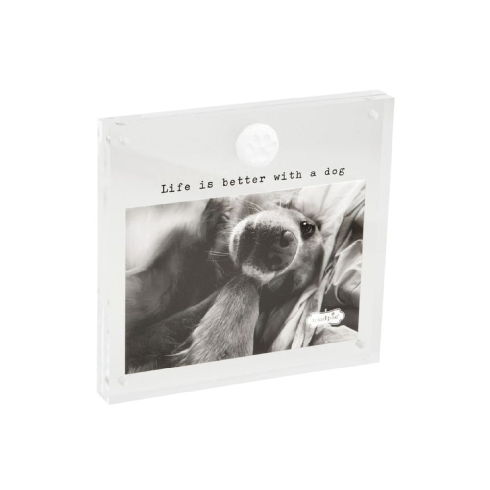 Mud Pie 4x6 High - quality Acrylic Dog - themed Photo Frame