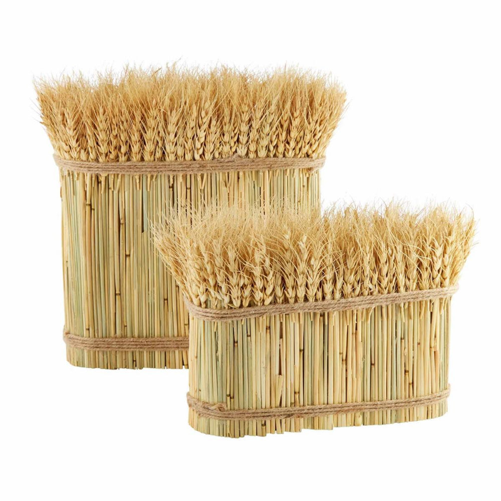 Mud Pie Decorative Preserved Wheat Stalk Bundle Bunch for Home Decoration