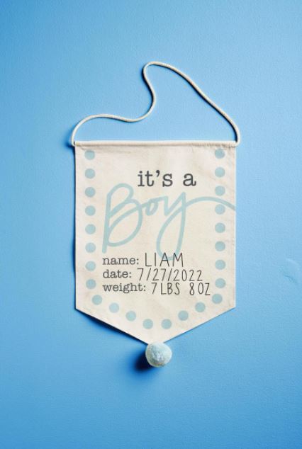 Mud Pie Personalizable Canvas New Baby Announcement Sign