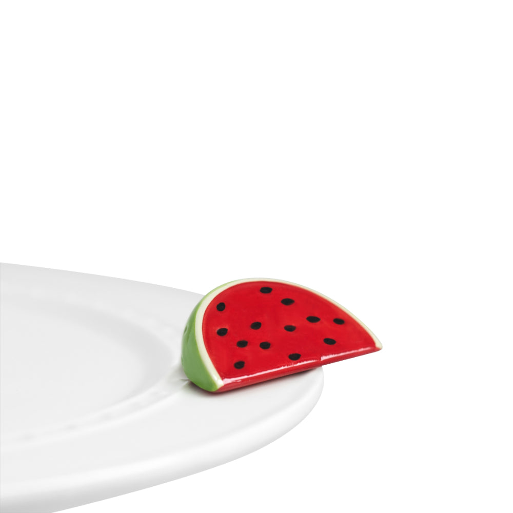 Adorable Nora Fleming Summer Watermelon Mini for a Refreshing Taste