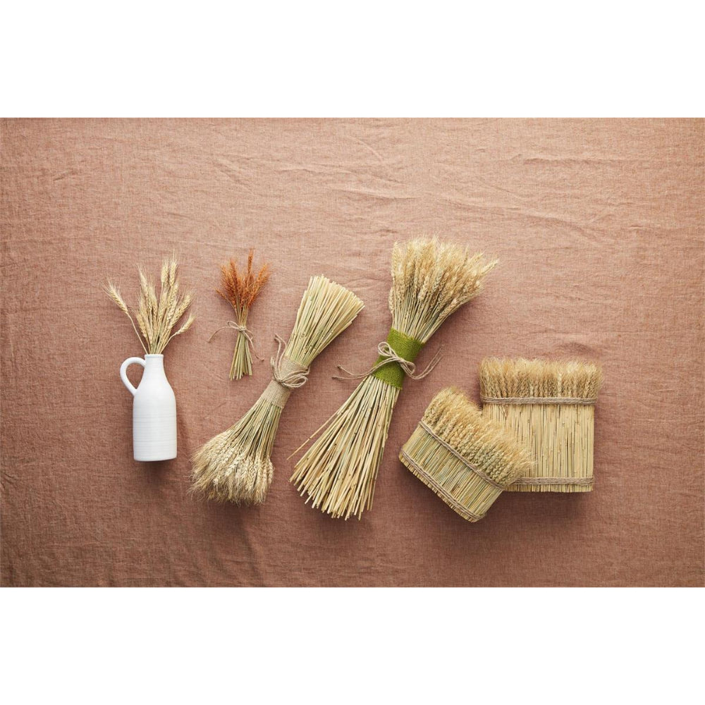 Mud Pie Decorative Preserved Wheat Stalk Bundle Bunch for Home Decoration