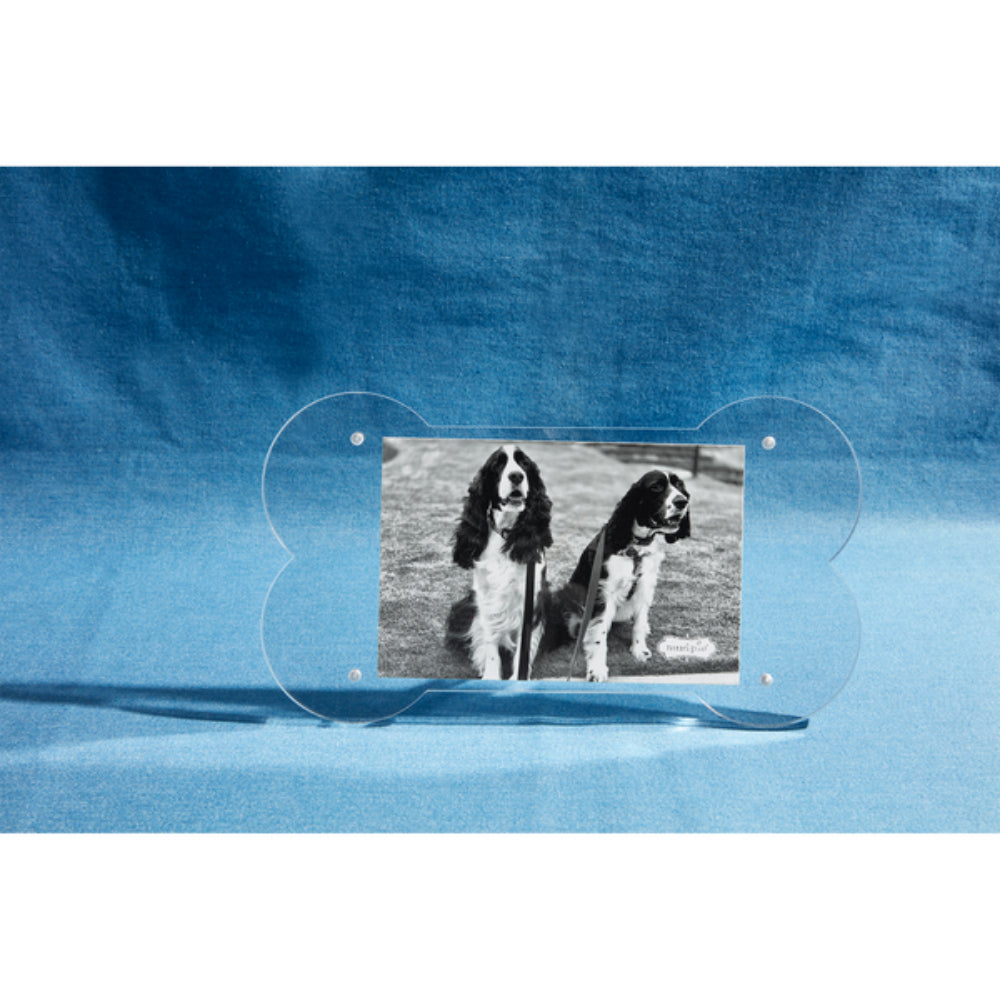 Stylish Mud Pie Acrylic Dog Bone - Shaped Picture Frame for 4' x 6' Photos