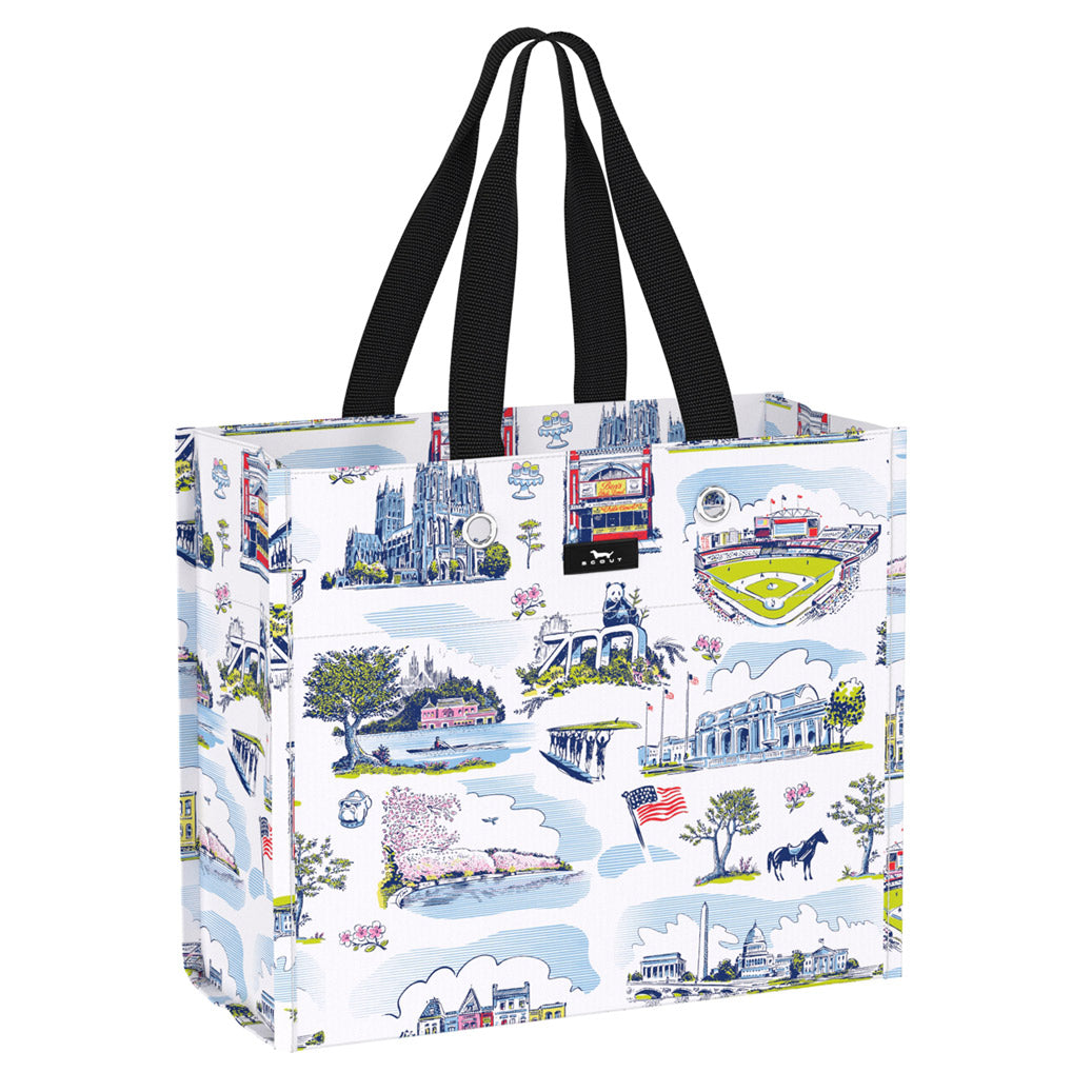 Large Reusable Gift - Wrapping Scout Package for Washington DC 20007