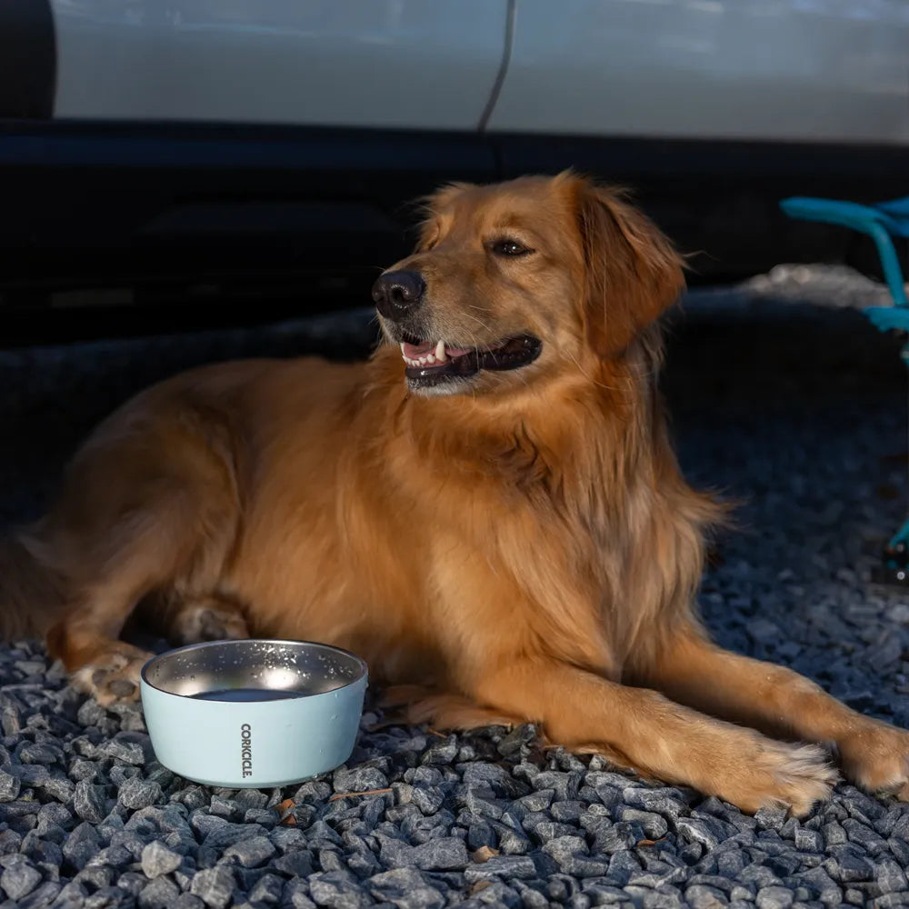 Corkcicle 16-ounce Enamel-Coated Double-Wall Stainless Steel Dog Bowl for Mess-Free Meals