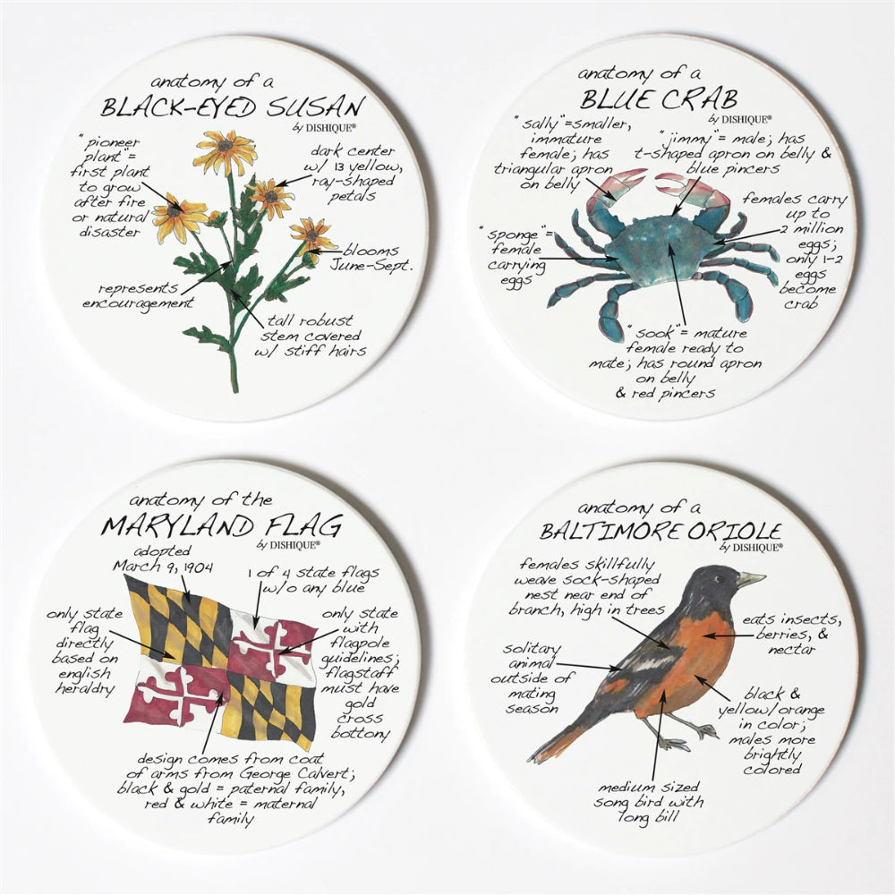 Unique Dishique Maryland Anatomy Coaster Set of 4 with Cork Backing