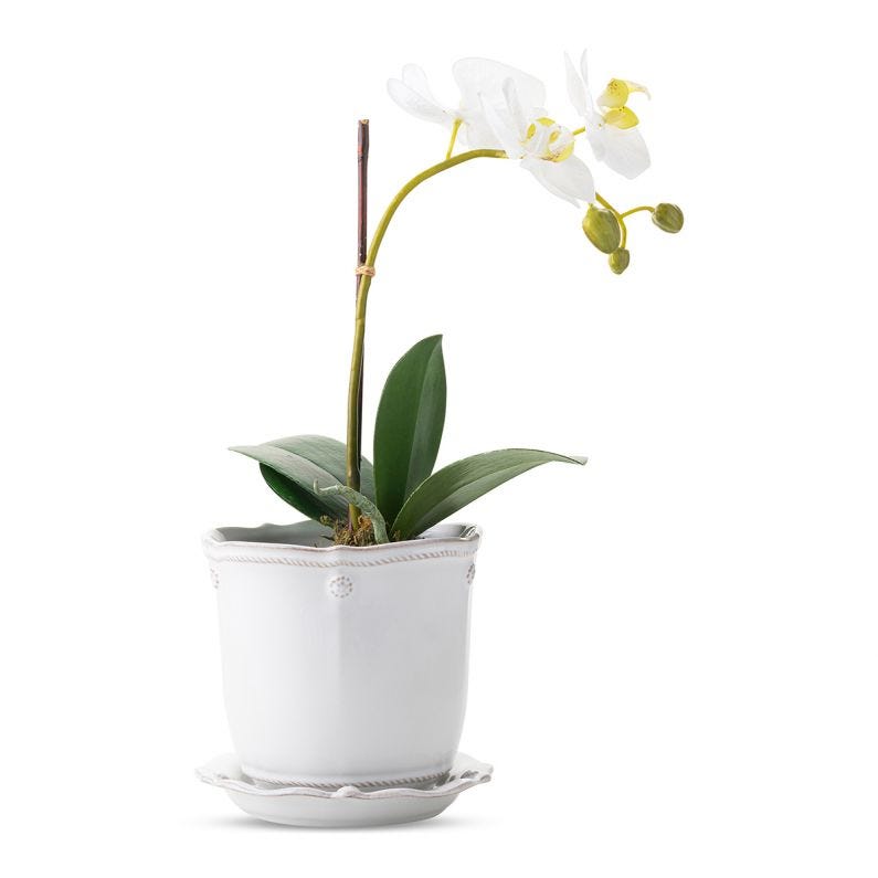 Juliska Berry & Thread White - Washed 5.25 - Inch Ceramic Plant Planter with Matching Saucer for Indoor Use