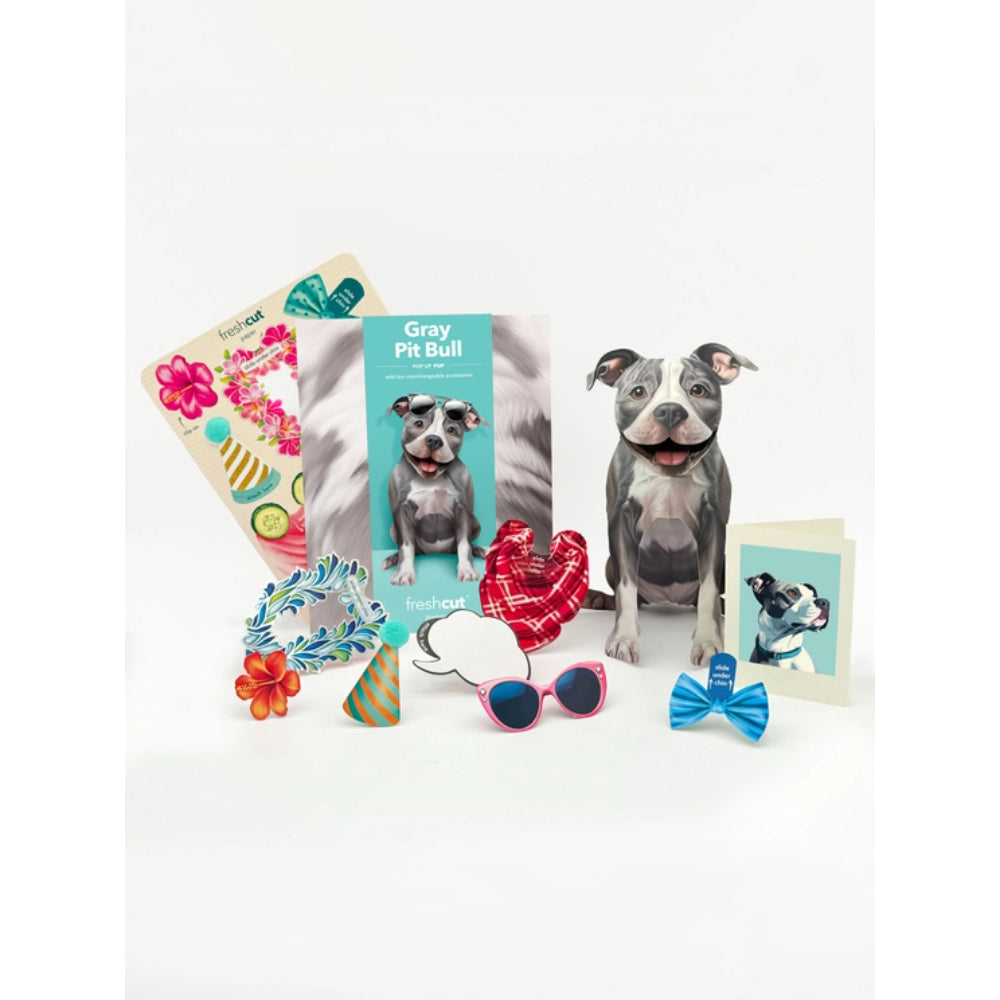 FreshCut Paper LLC Adorable Gray Pitbull Pop - Up Greeting Card Set