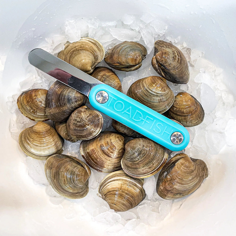 Toadfish High - Quality Rust - Resistant 2.75'' Clam Shucking Knife