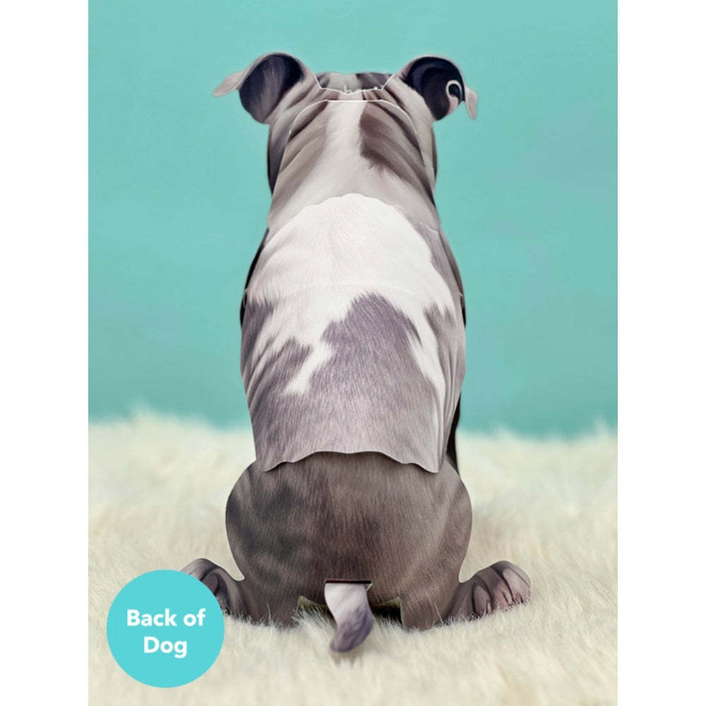 FreshCut Paper LLC Adorable Gray Pitbull Pop - Up Greeting Card Set
