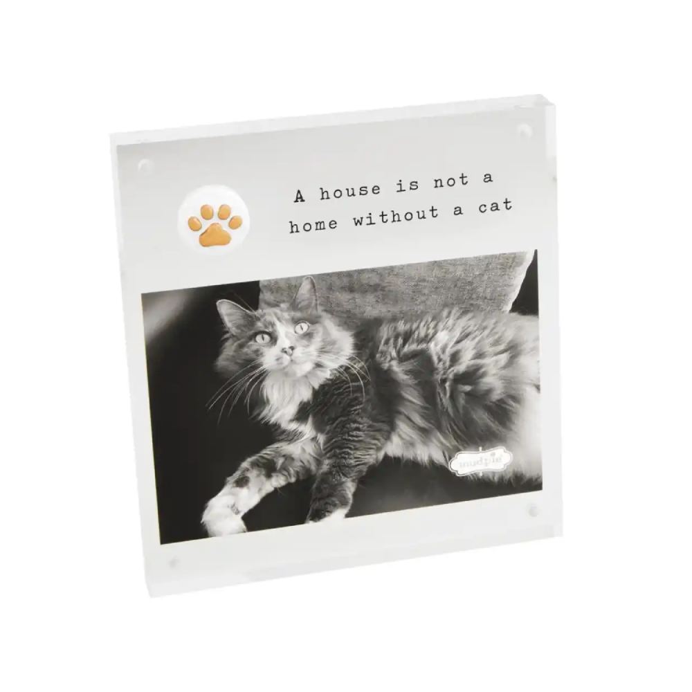 Mud Pie 4x6 High - quality Acrylic Cat - themed Photo Frame
